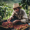 Debunking Philanthropy Myths in the Coffee Industry